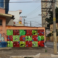Graffiti_Sao-Paulo_Spraydaily_Allyouseeiscrimeinthecity_16_Finok, Ise