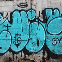 Graffiti_Sao-Paulo_Spraydaily_Allyouseeiscrimeinthecity_21