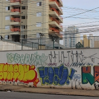 Graffiti_Sao-Paulo_Spraydaily_Allyouseeiscrimeinthecity_25_Osgemeos, Xabu, VLOK