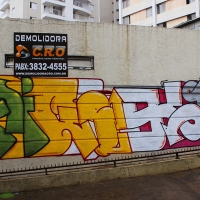 Sao-Paulo_Graffiti_Spraydaily_Allyouseeiscrimeinthecity_01_Finok, OsGemeos