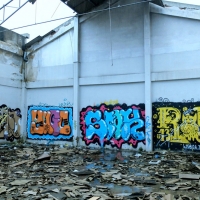 Vandals-On-Vacation_Spraydaily_GBR_DHE_1973_GOTT_11