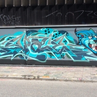 Wednesday Graffiti Walls Spraydaily 001_Space